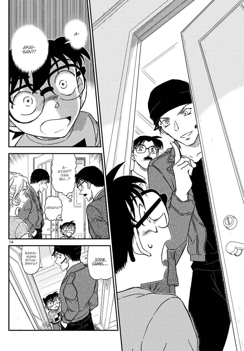 Detective Conan - Chapter 1060 - Page 14