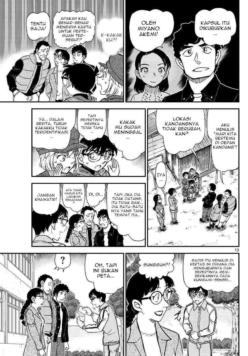 Detective Conan - Chapter 1070 - Page 14