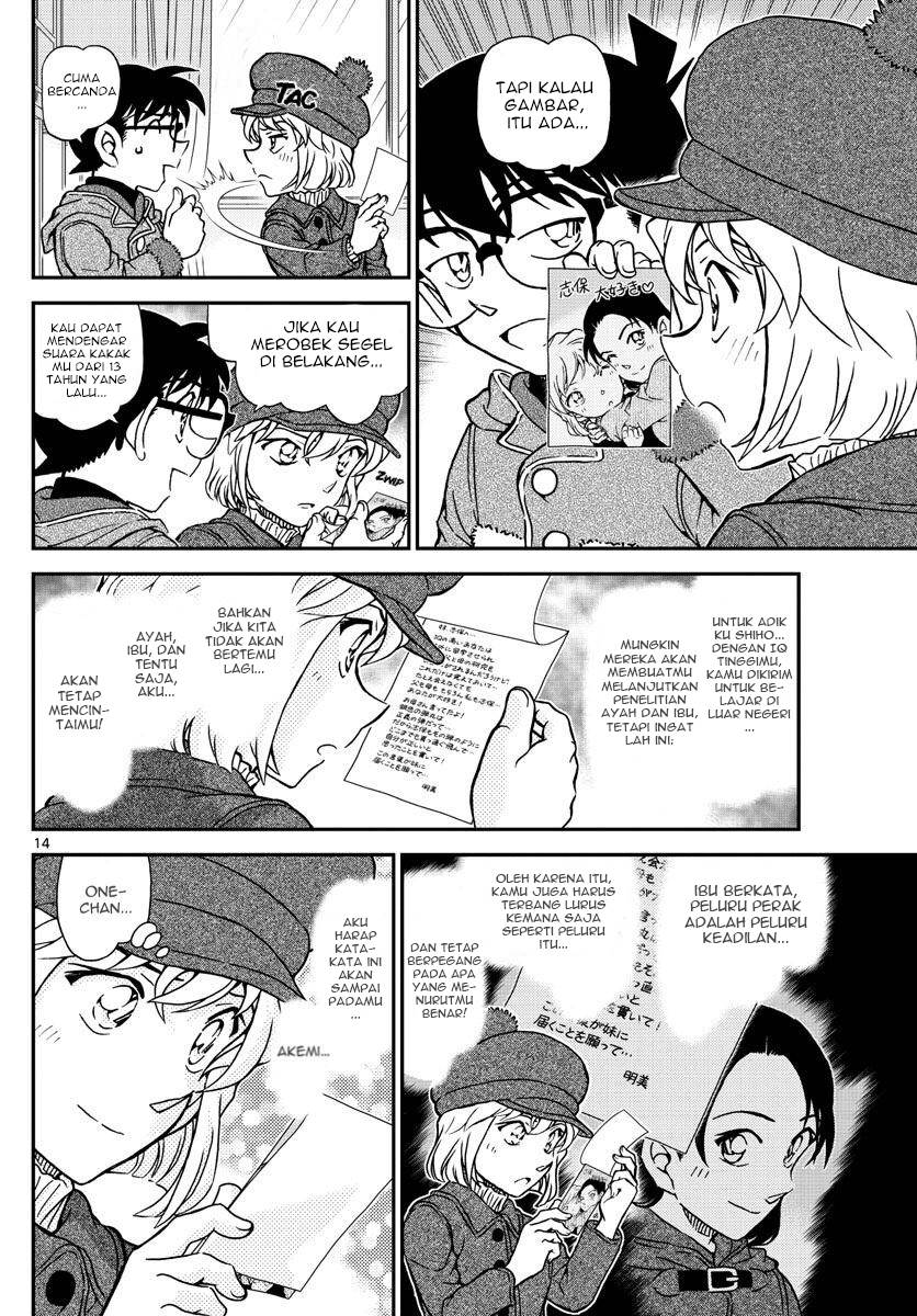 Detective Conan - Chapter 1072 - Page 14