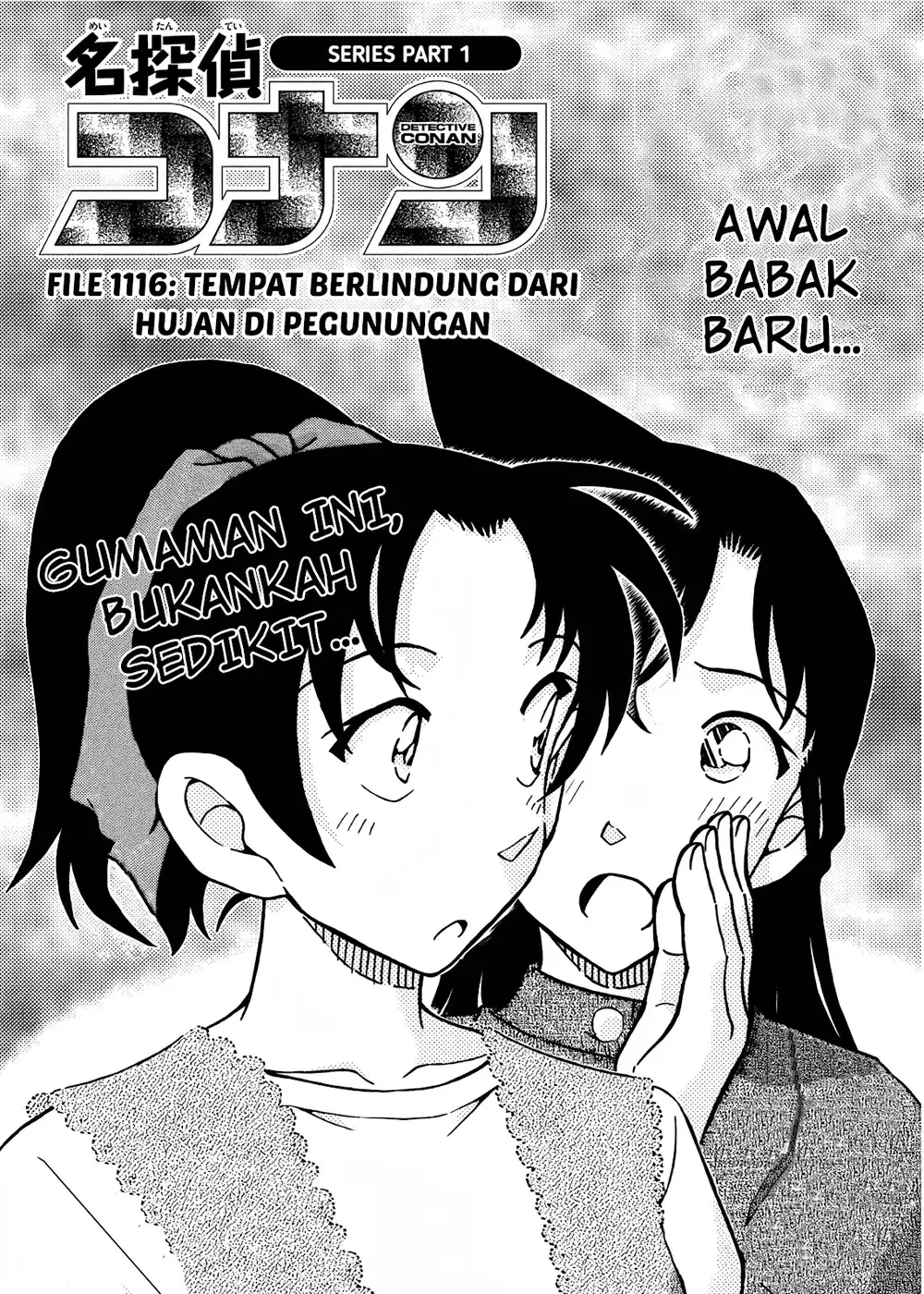 Detective Conan - Chapter 1116 - Page 3