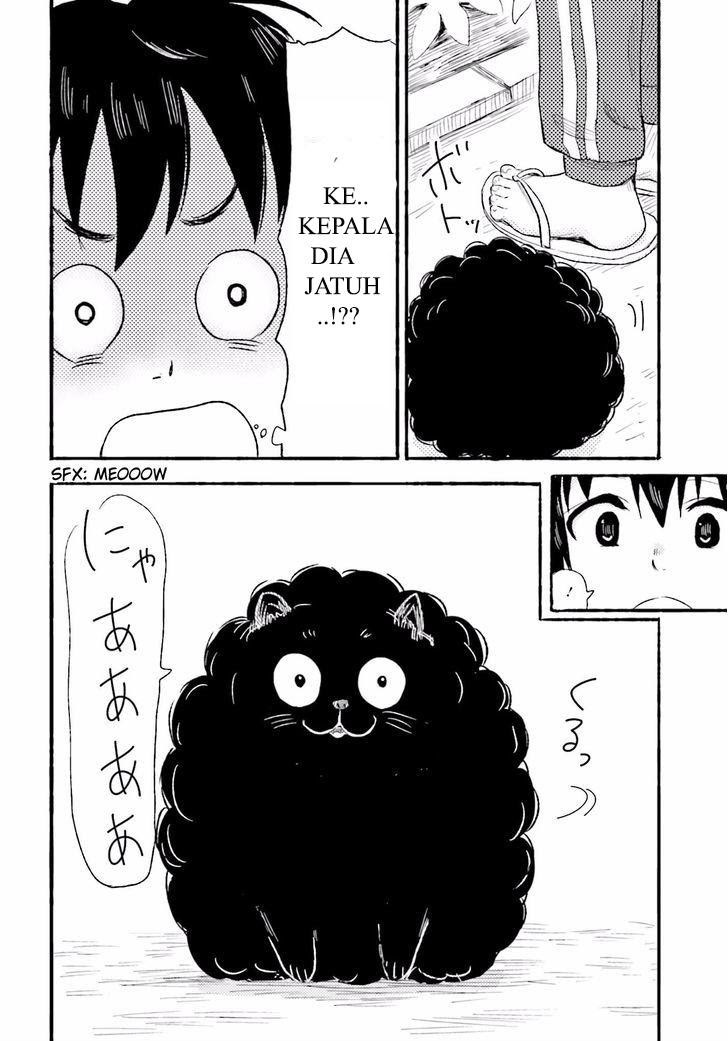 Higashi no Kurume to Tonari no Meguru - Chapter 1 - Page 37
