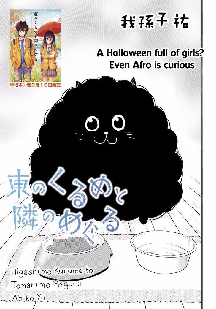 Higashi no Kurume to Tonari no Meguru - Chapter 12 - Page 1