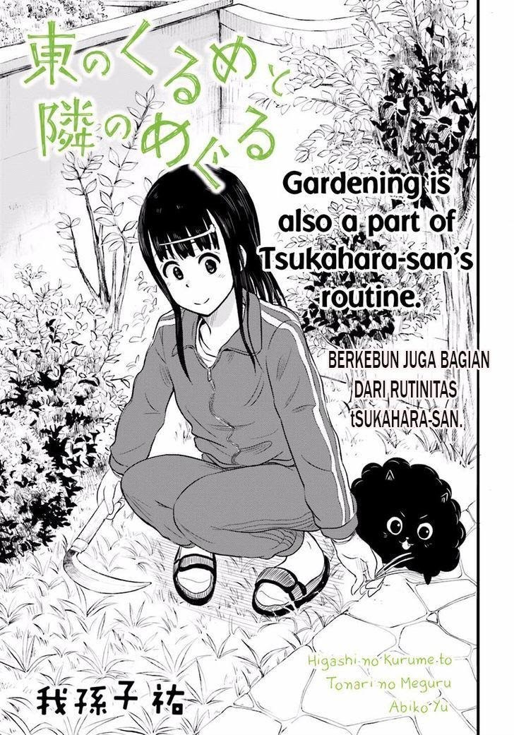 Higashi no Kurume to Tonari no Meguru - Chapter 15 - Page 2