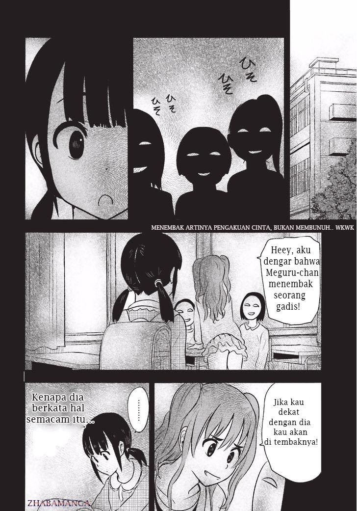Higashi no Kurume to Tonari no Meguru - Chapter 17 - Page 12