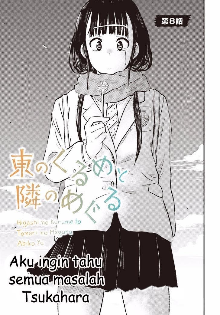 Higashi no Kurume to Tonari no Meguru - Chapter 8 - Page 1