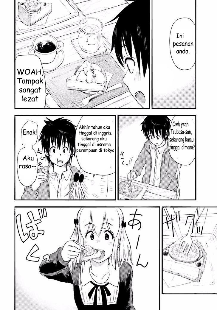 Higashi no Kurume to Tonari no Meguru - Chapter 9 - Page 17