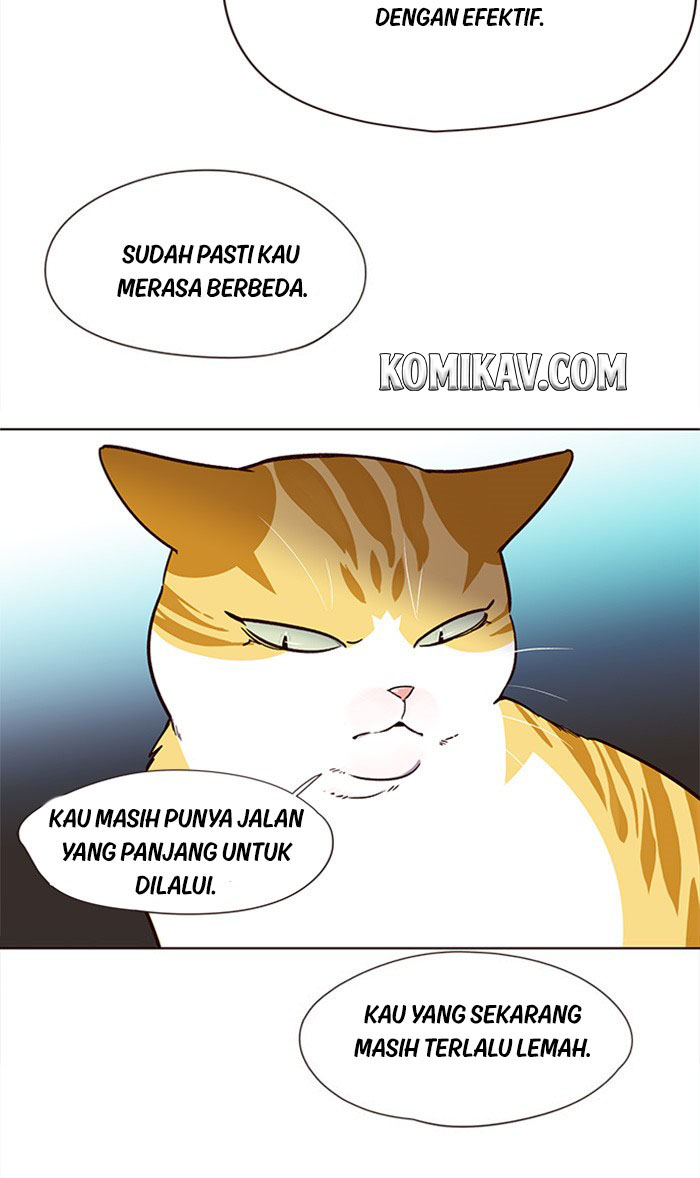 Halaman 17 dari 85