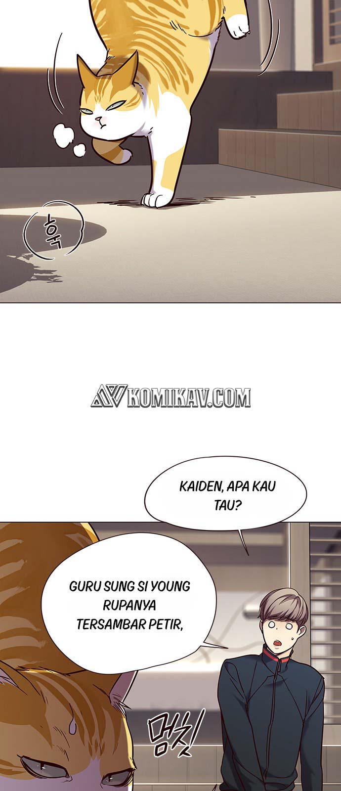 Halaman 17 dari 60