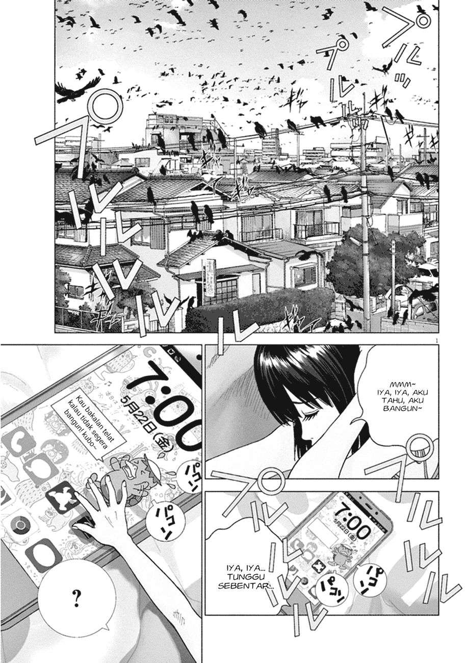 
              Wonderland             Chapter 1