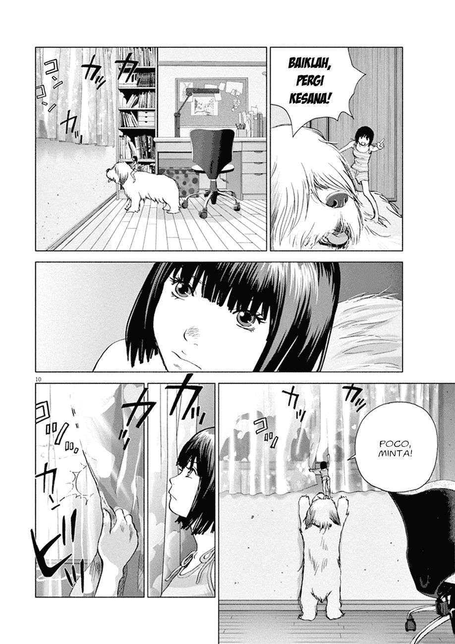 
              Wonderland             Chapter 1