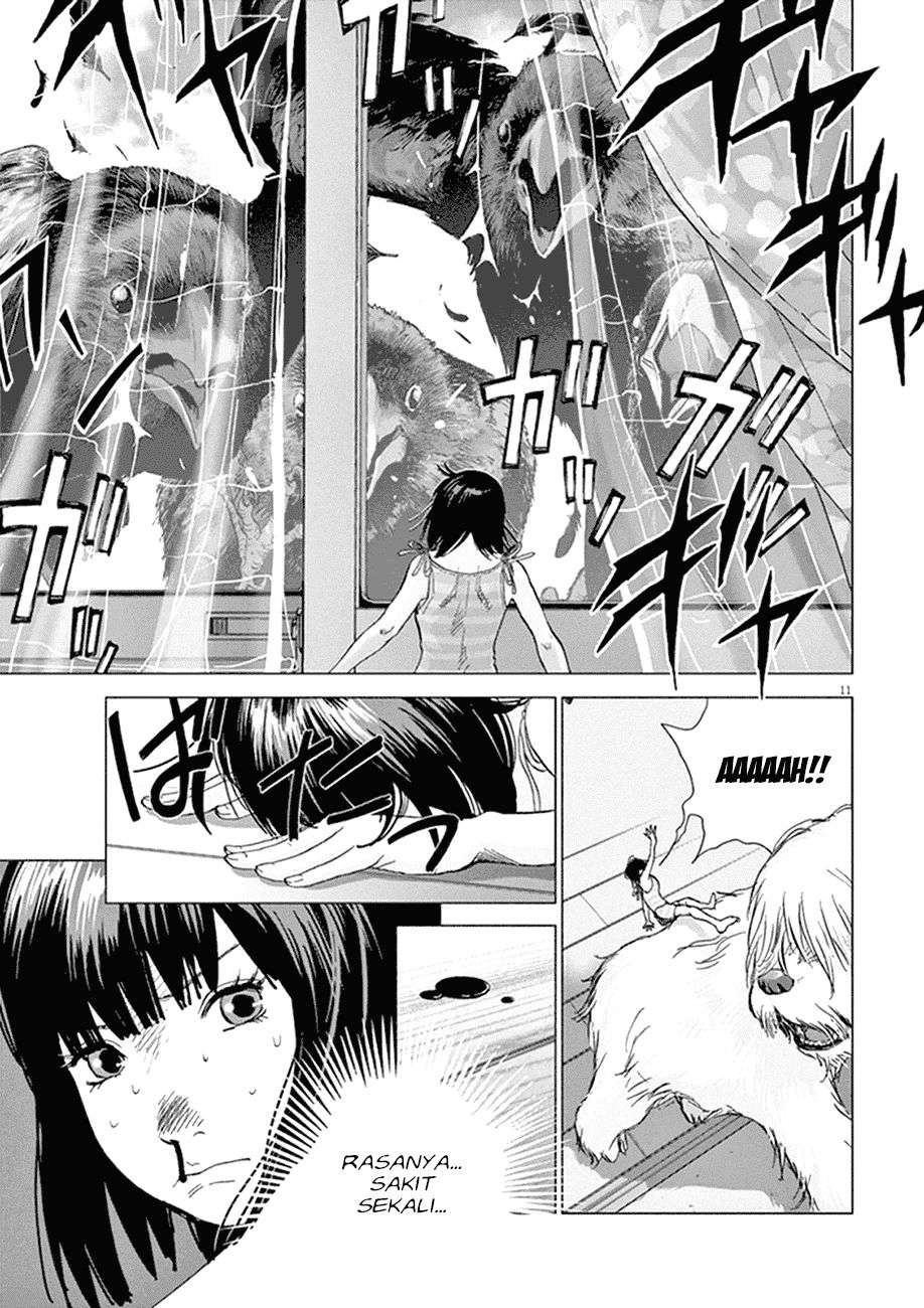 
              Wonderland             Chapter 1