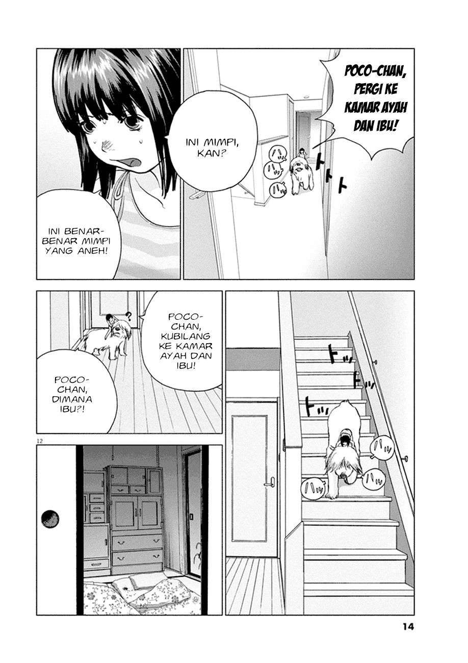
              Wonderland             Chapter 1