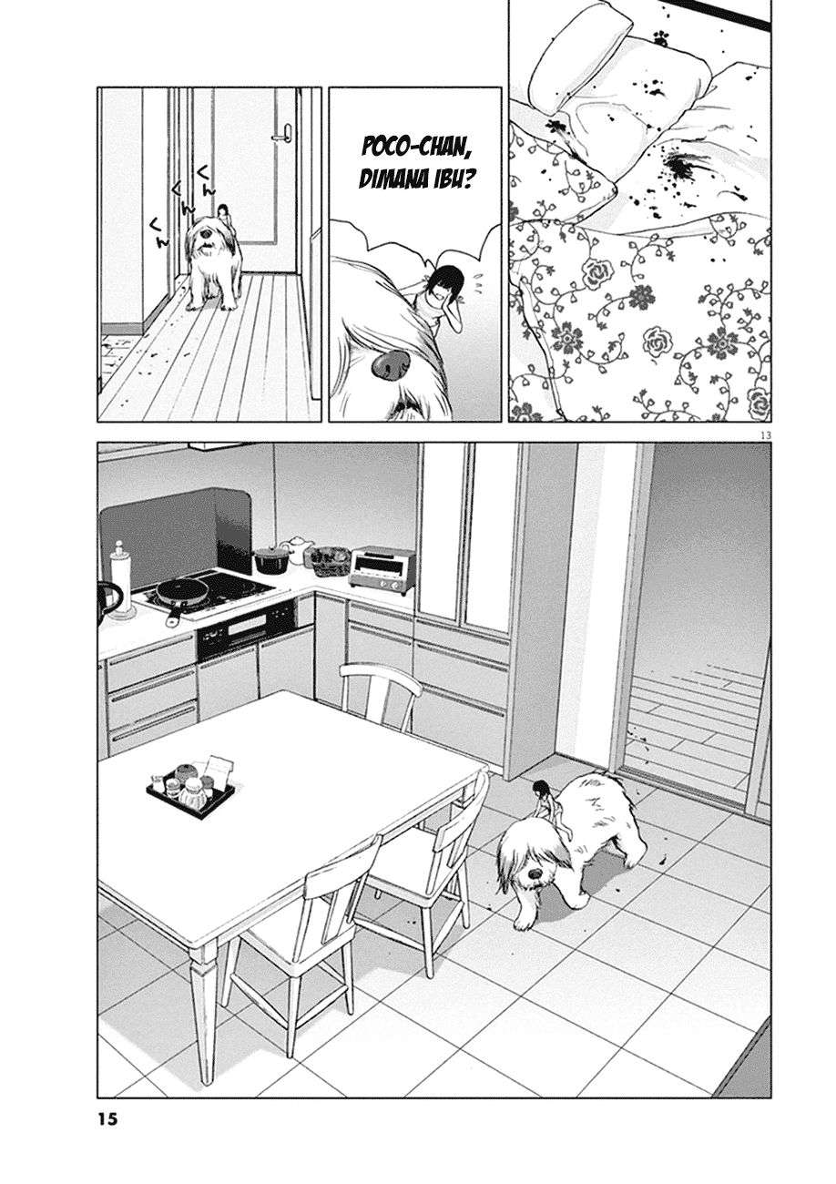 
              Wonderland             Chapter 1