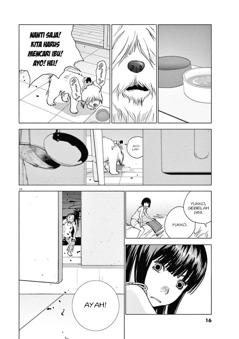 
              Wonderland             Chapter 1