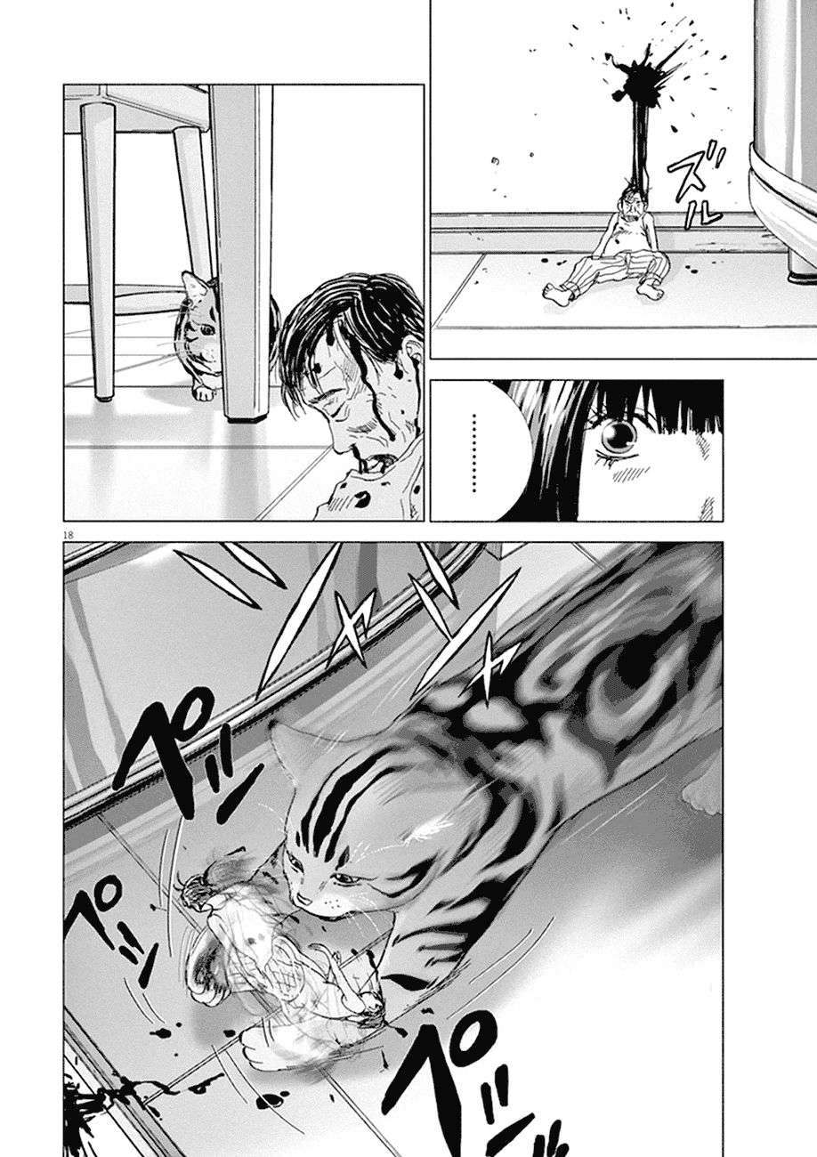 
              Wonderland             Chapter 1