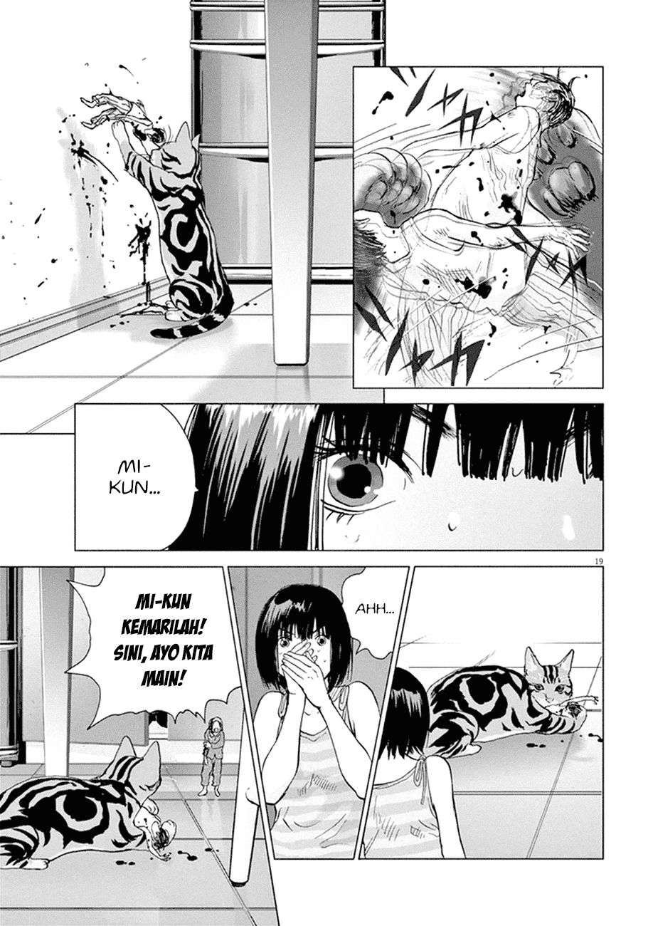 
              Wonderland             Chapter 1