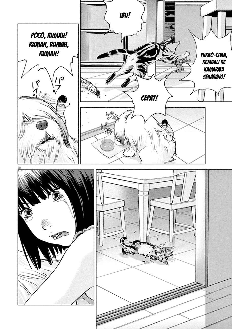
              Wonderland             Chapter 1