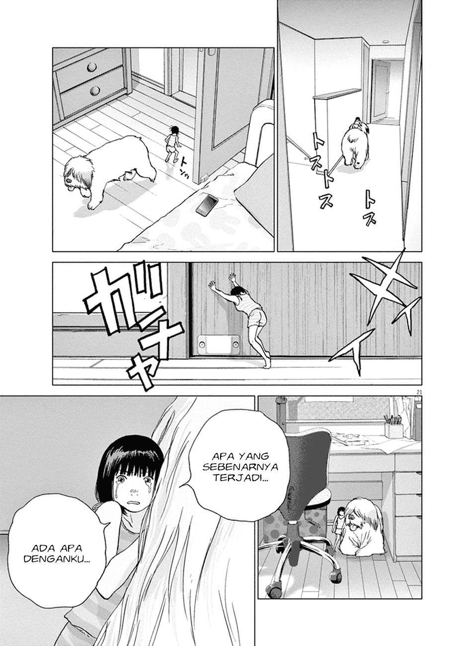 
              Wonderland             Chapter 1