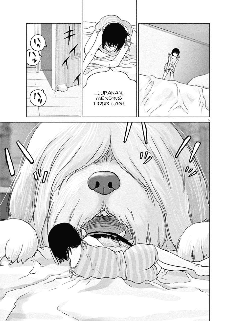 
              Wonderland             Chapter 1
