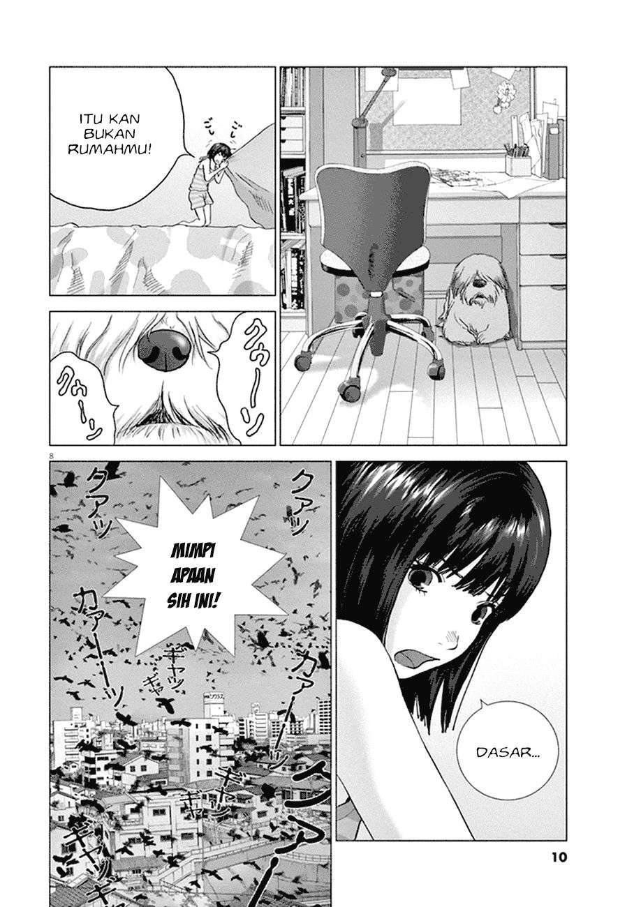 
              Wonderland             Chapter 1