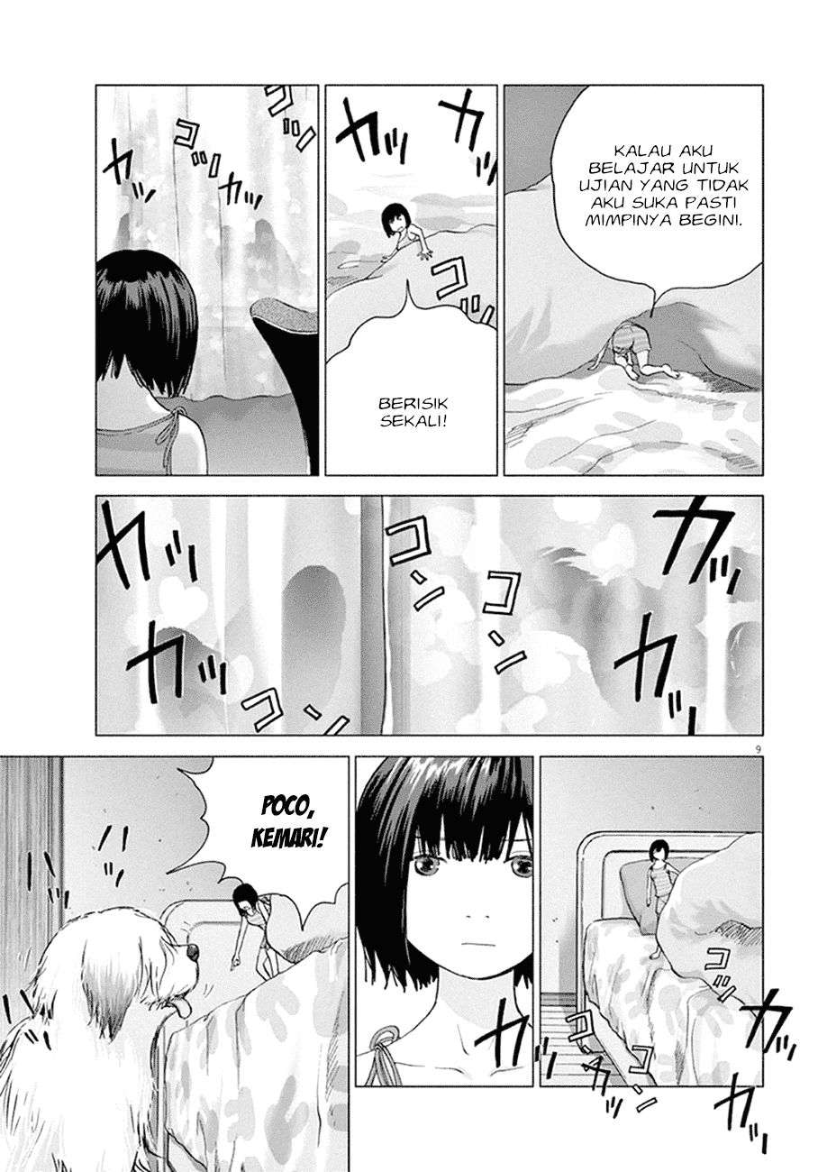 
              Wonderland             Chapter 1