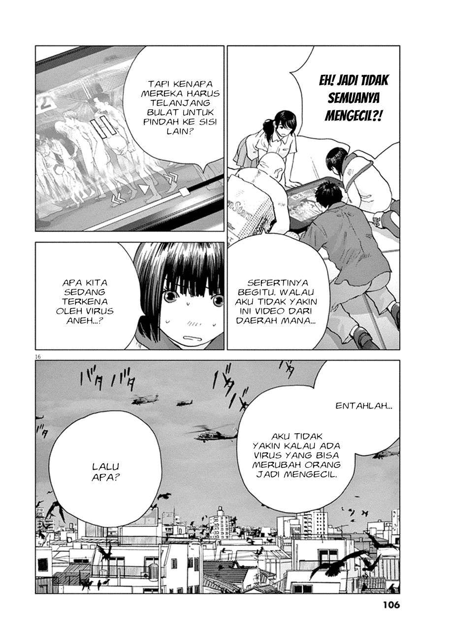 
              Wonderland             Chapter 5