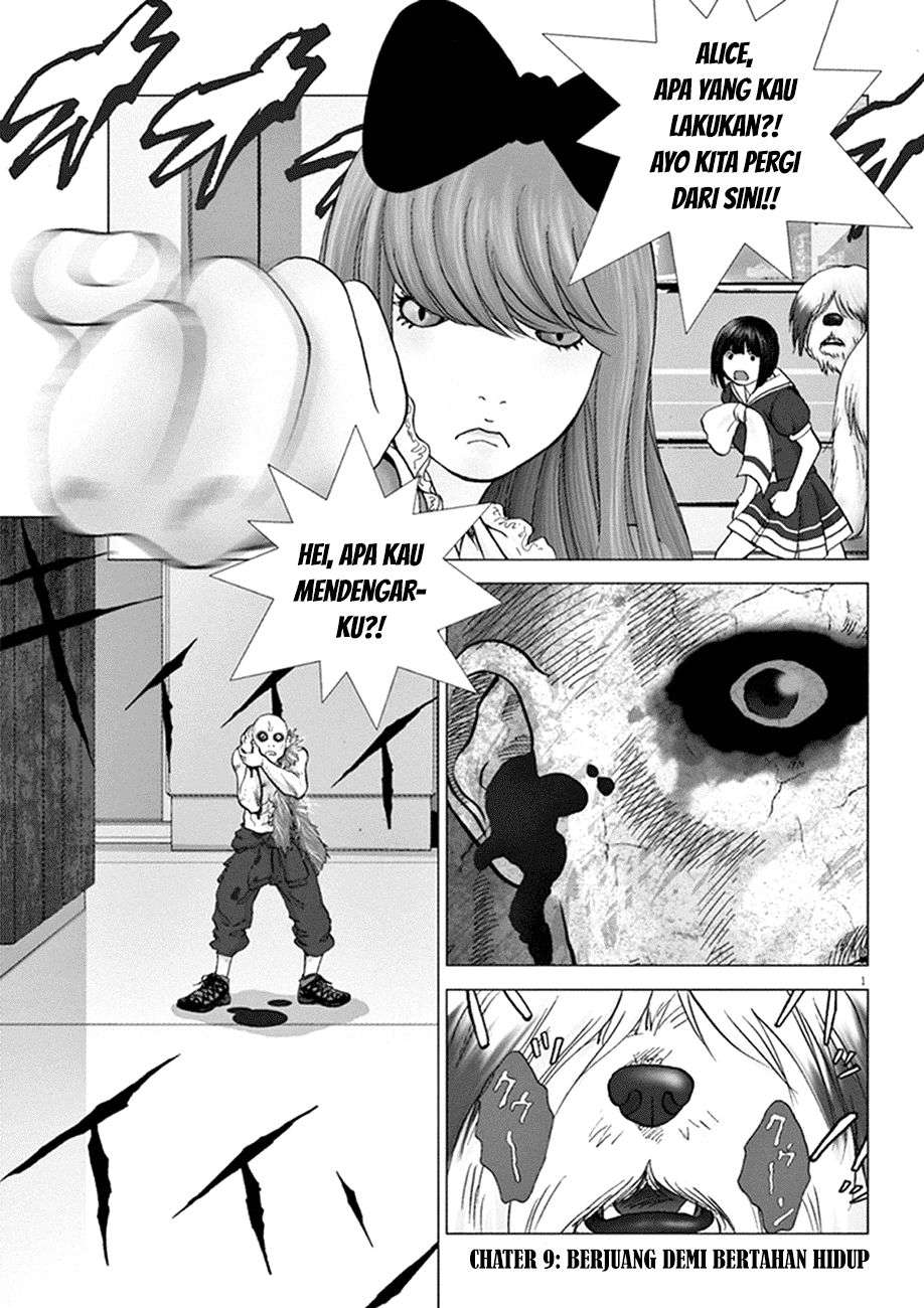 
              Wonderland             Chapter 9