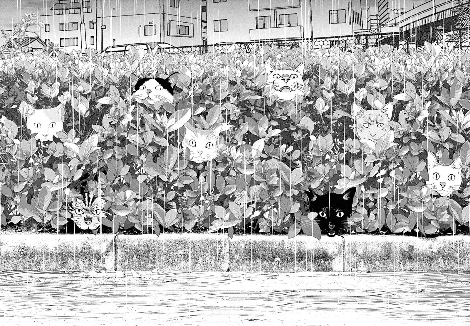
              Wonderland             Chapter 9
