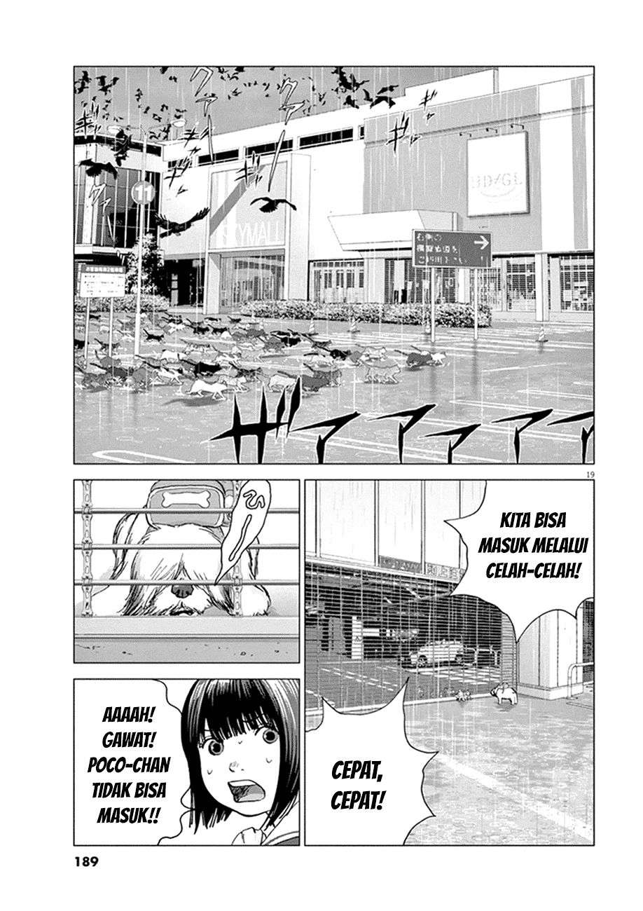 
              Wonderland             Chapter 9
