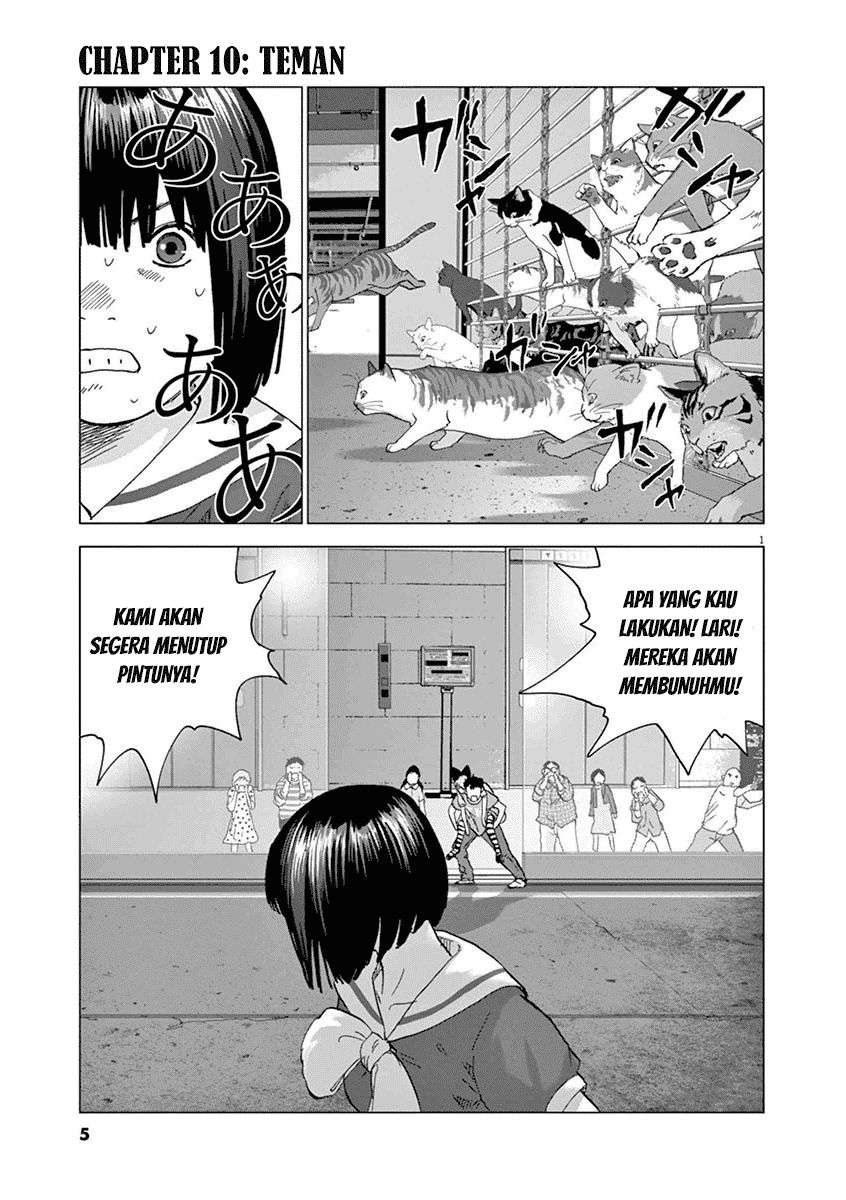 
              Wonderland             Chapter 10