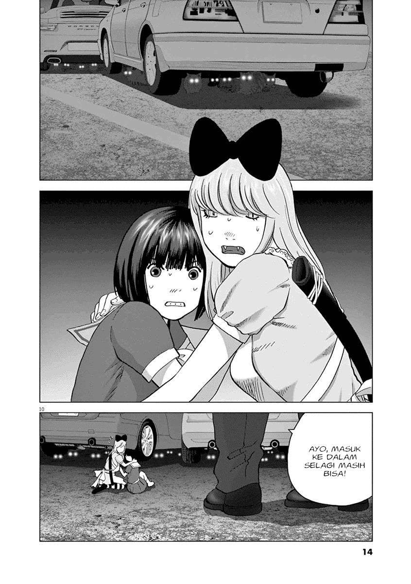 
              Wonderland             Chapter 10