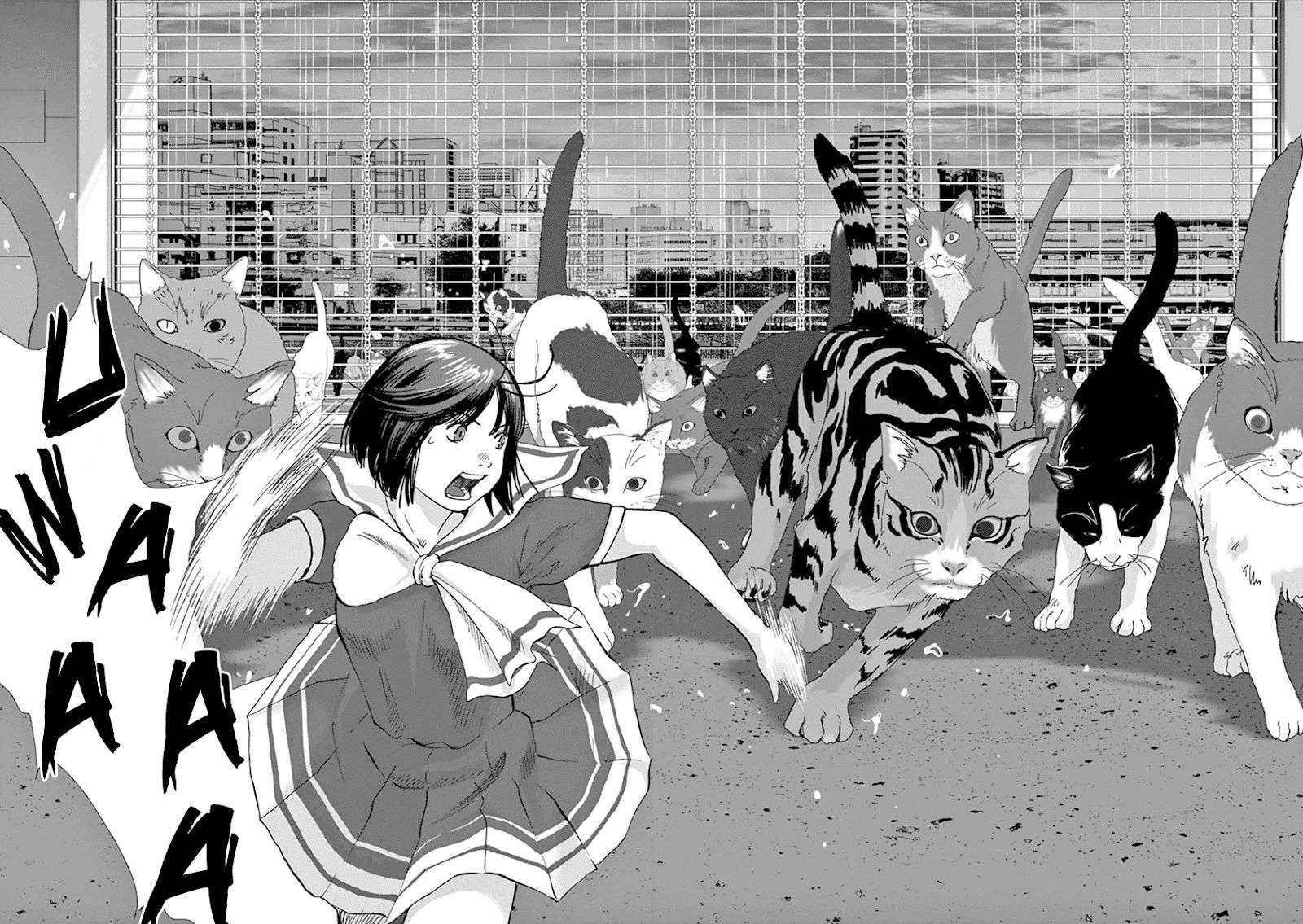 
              Wonderland             Chapter 10