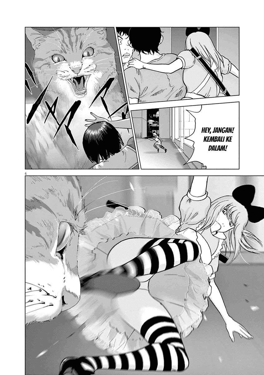 
              Wonderland             Chapter 10