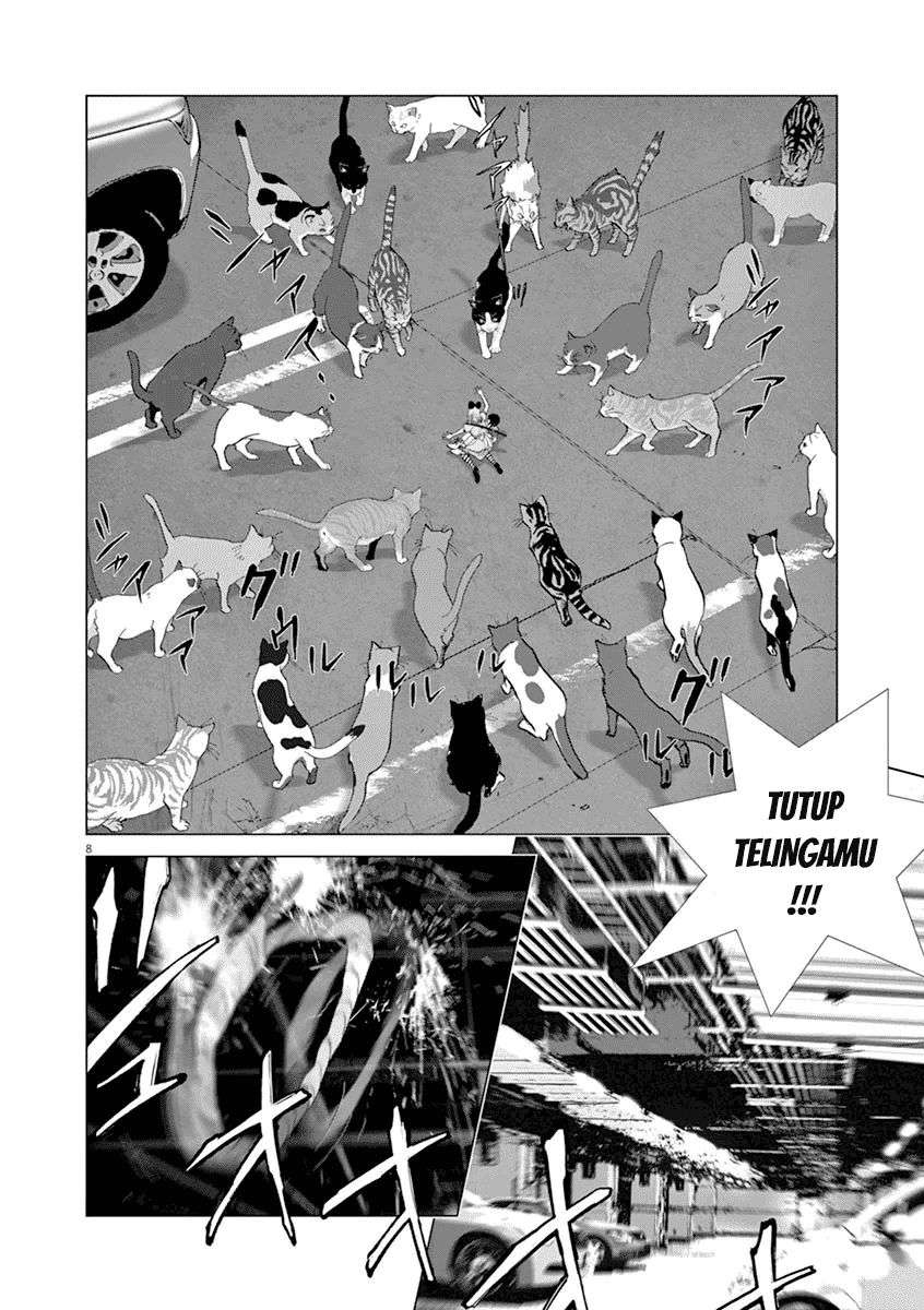 
              Wonderland             Chapter 10