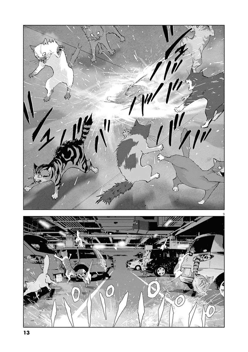 
              Wonderland             Chapter 10