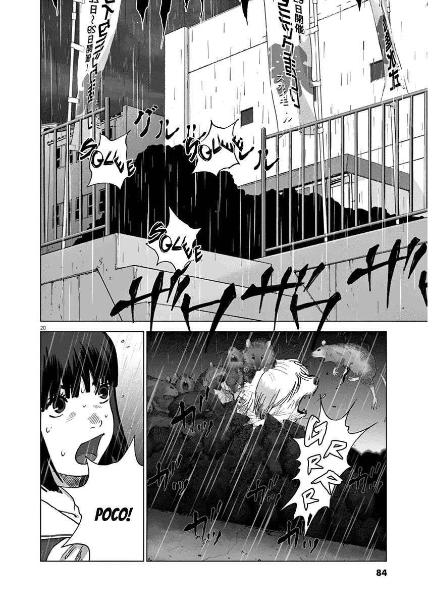 
              Wonderland             Chapter 13