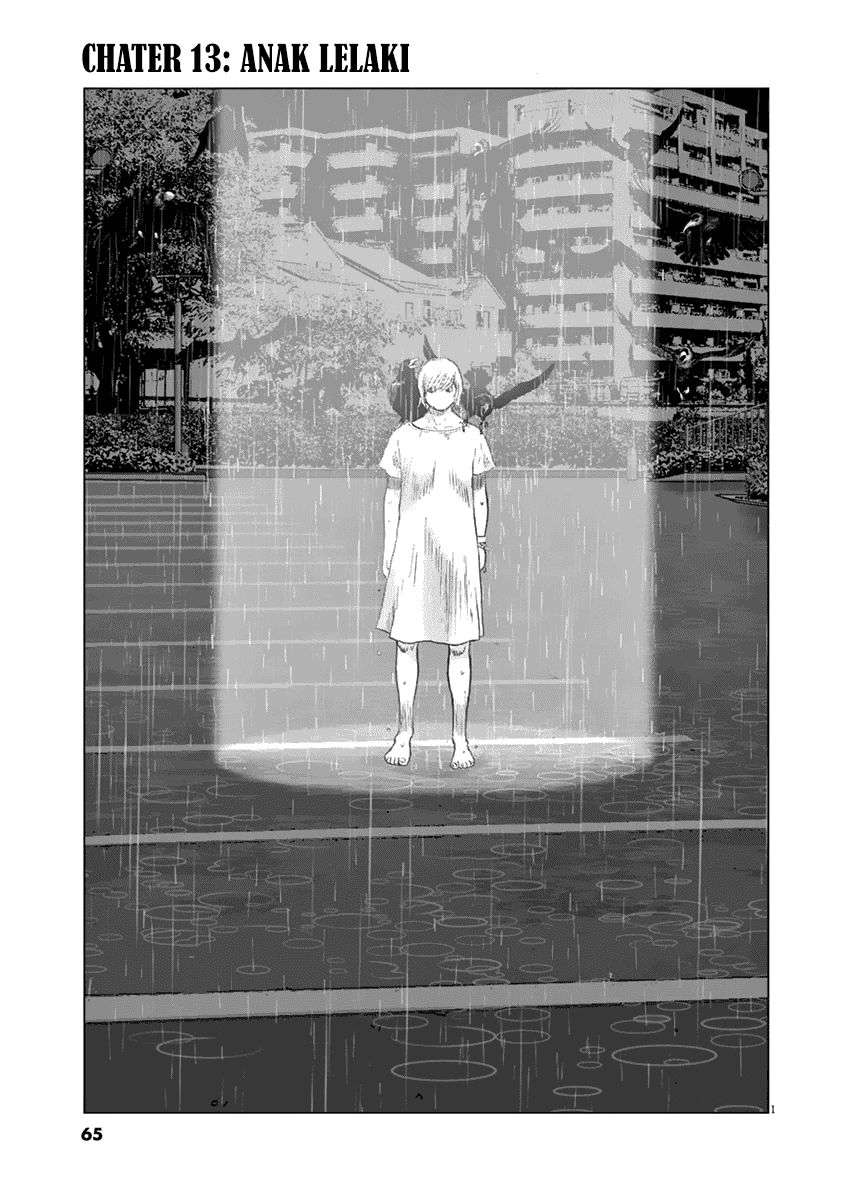 
              Wonderland             Chapter 13