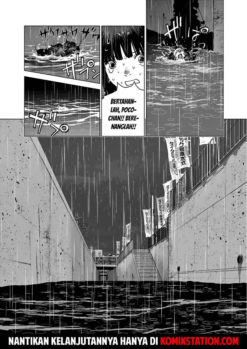 
              Wonderland             Chapter 13