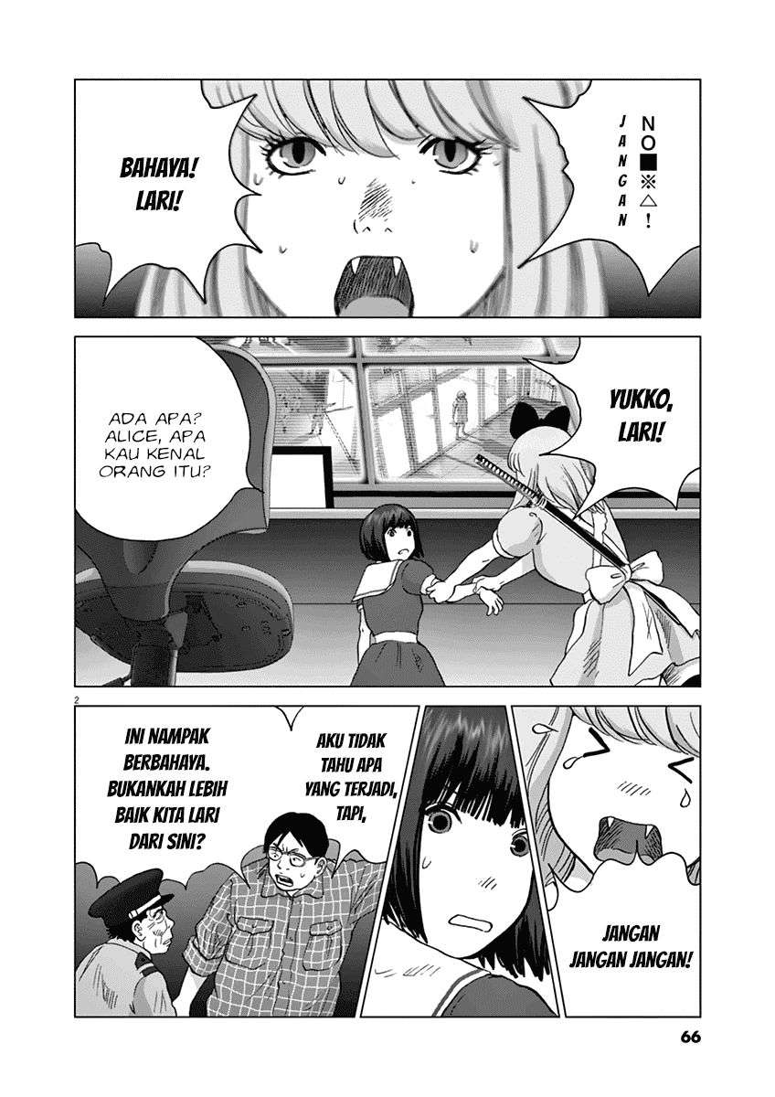 
              Wonderland             Chapter 13
