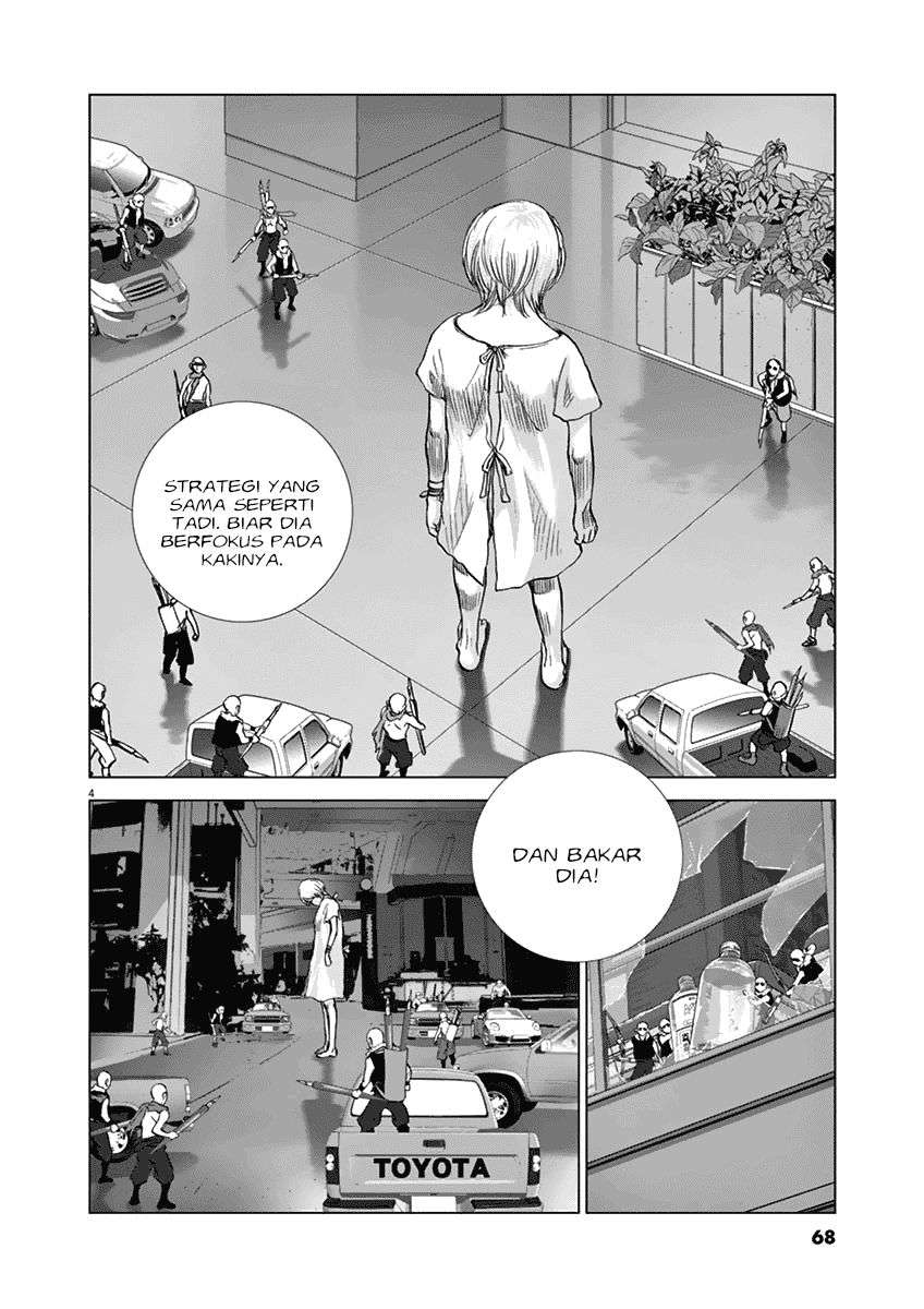 
              Wonderland             Chapter 13