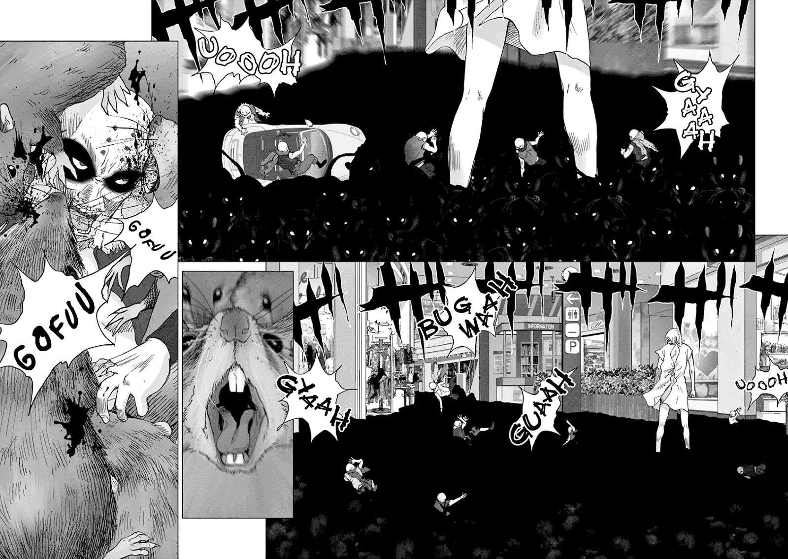 
              Wonderland             Chapter 13