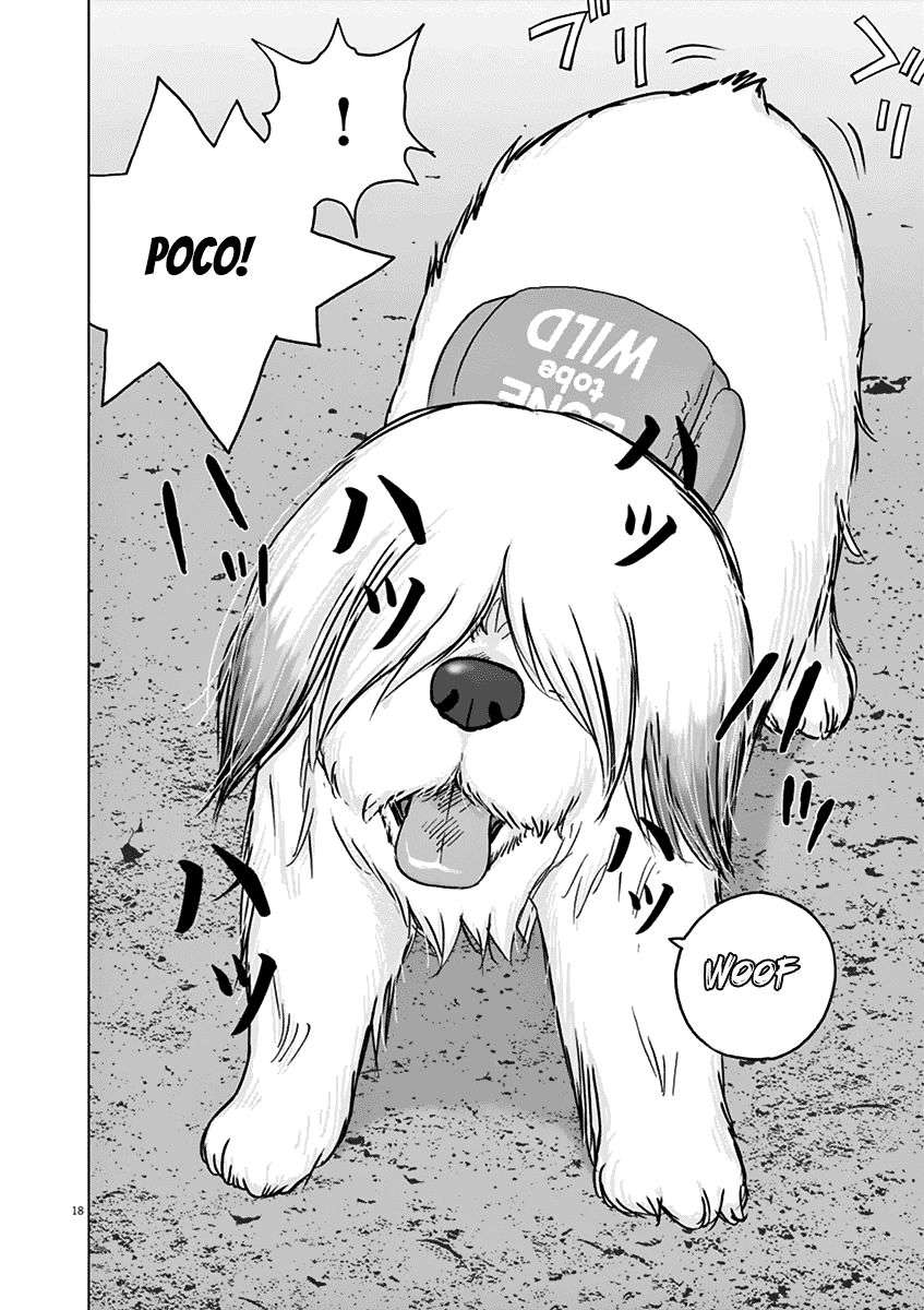 
              Wonderland             Chapter 18