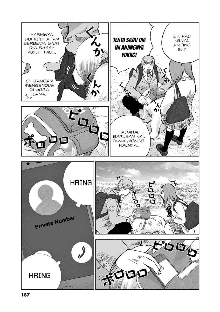 
              Wonderland             Chapter 18