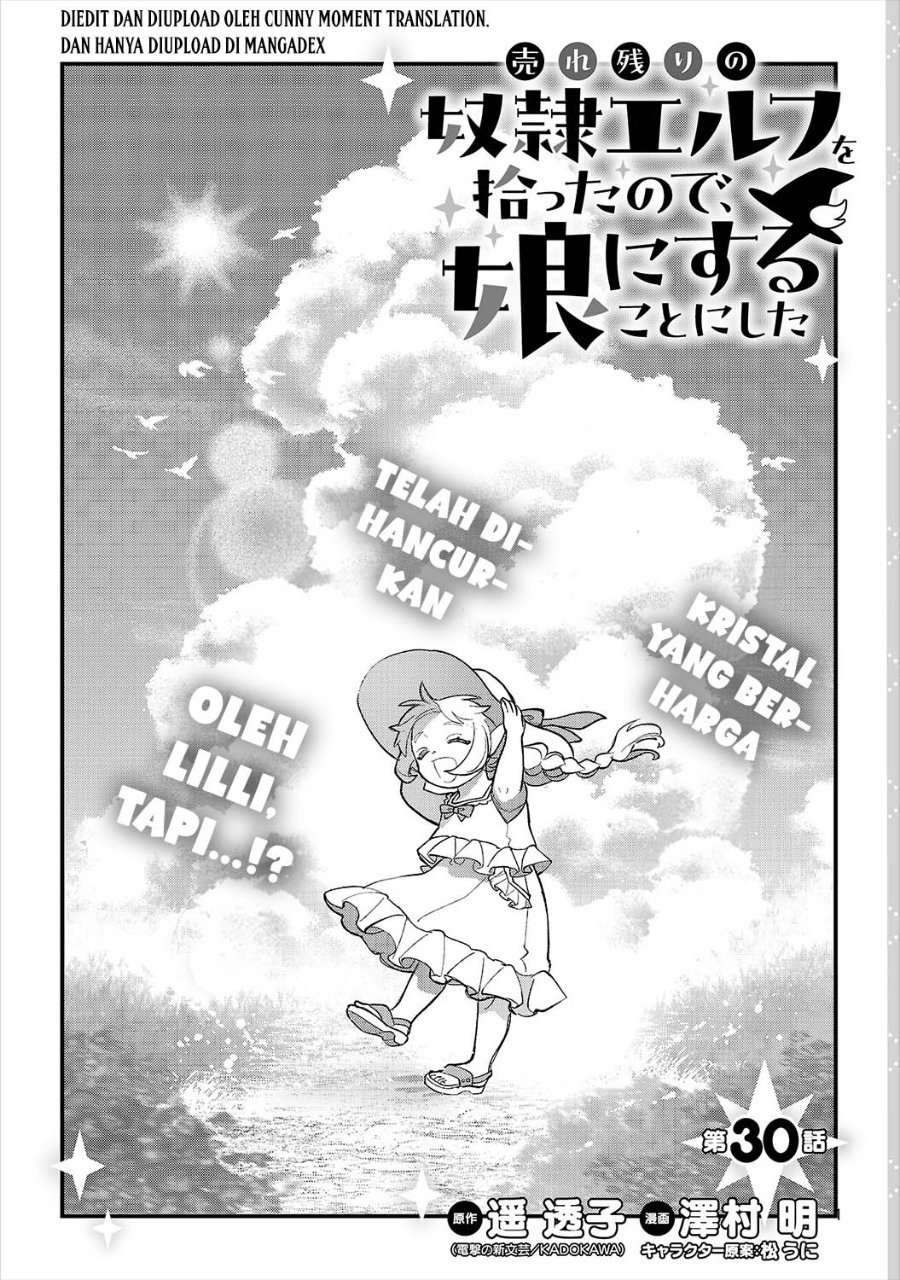 Urenokori no Dorei Elf wo Hirotta no de, Musume ni suru Koto ni shita - Chapter 30 - Page 3