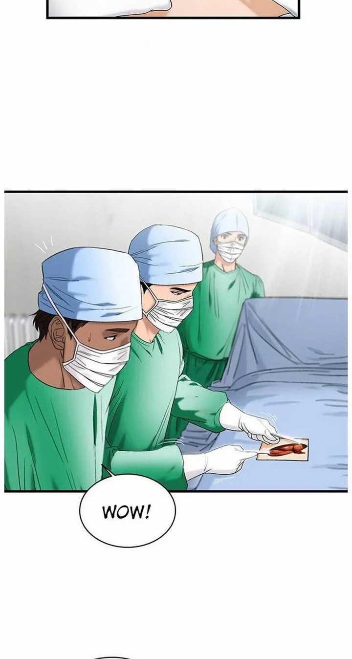 Halaman 62 dari 79