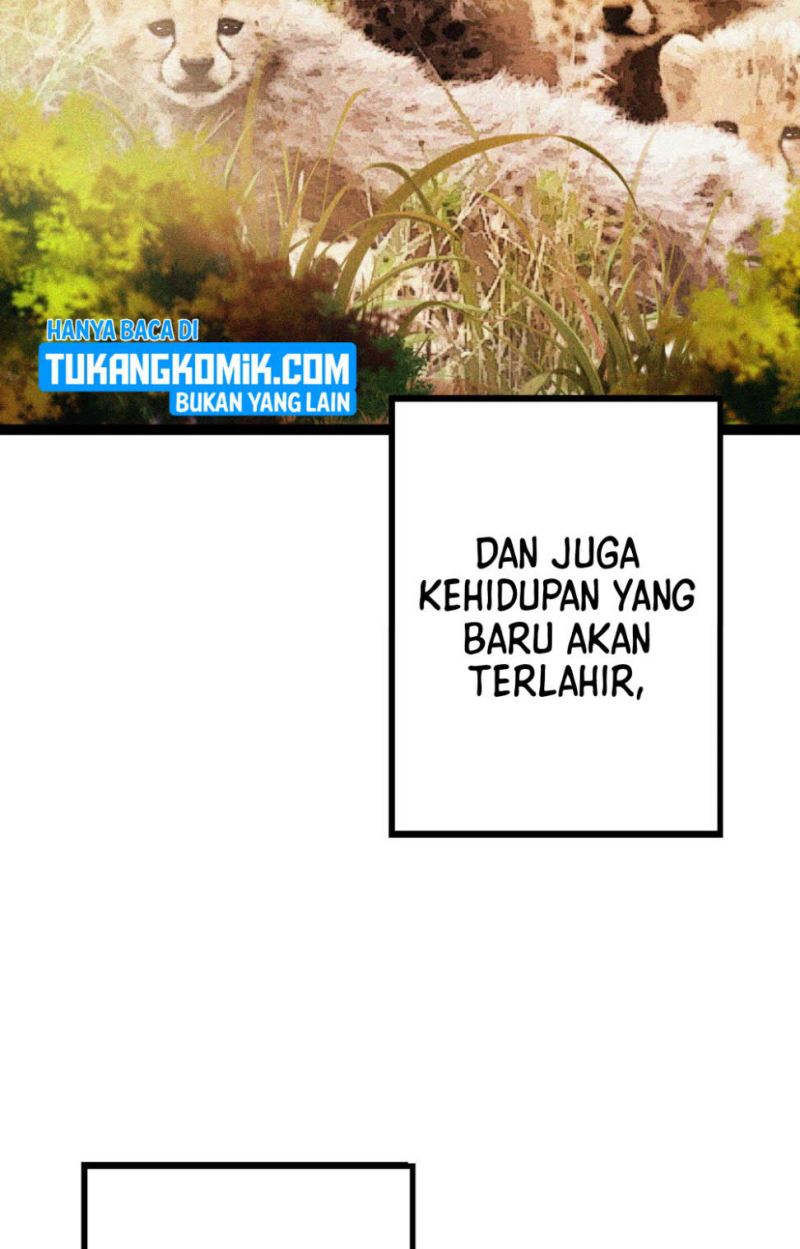 Halaman 241 dari 258