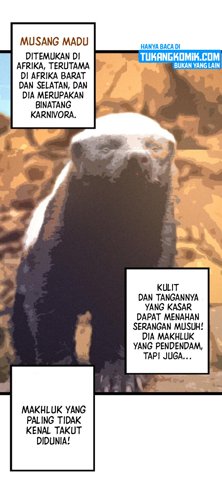 Halaman 3 dari 49