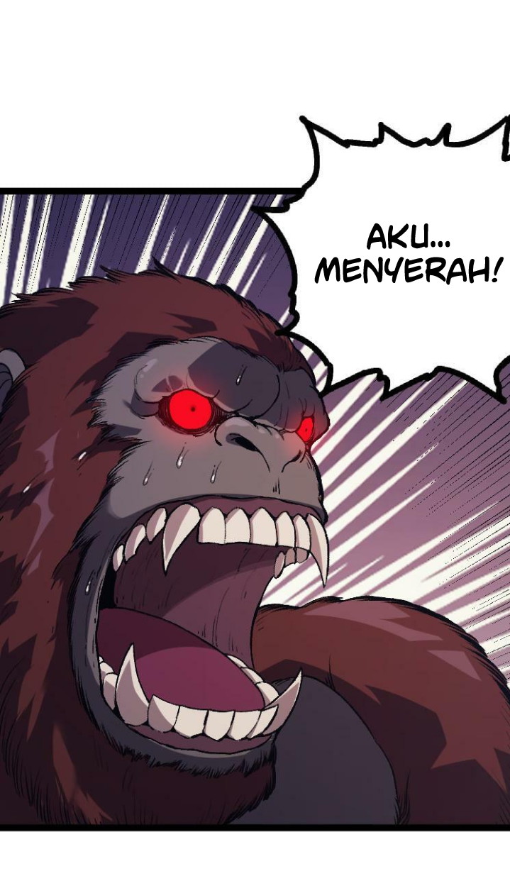 Halaman 33 dari 49