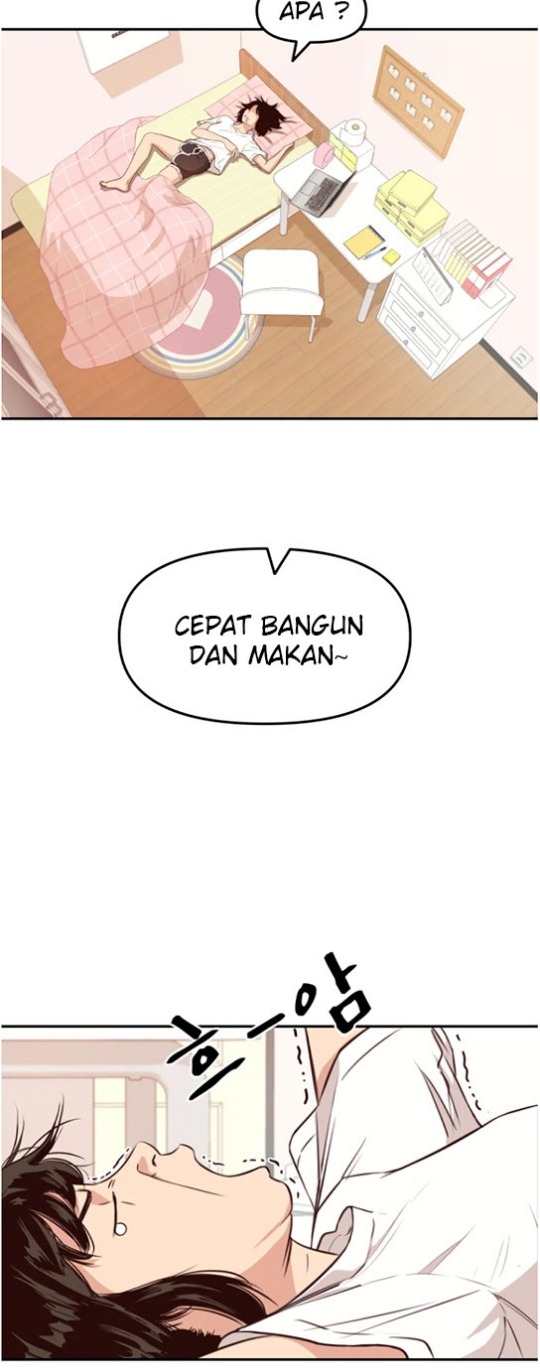 Halaman 4 dari 49